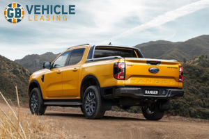 Choosing Your Ideal Pickup Truck